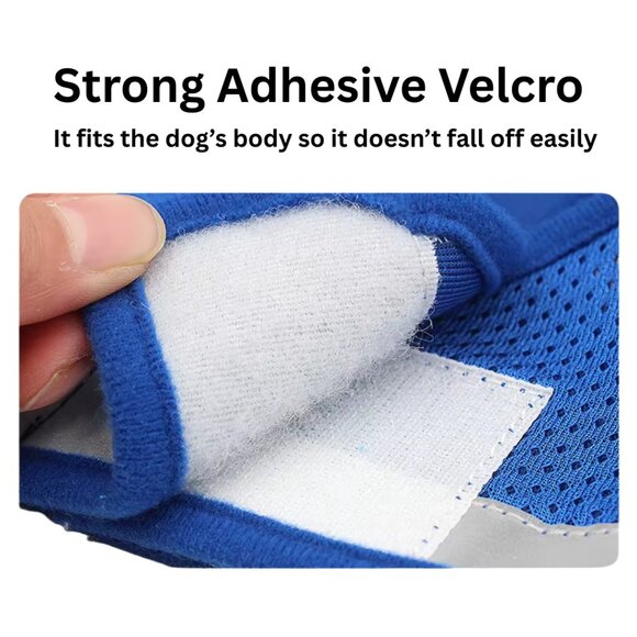 Black Dog Harness Reflective, No-Pull, Adjustable XS to XL - Picture 8 of 8